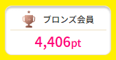 現在のポイント数