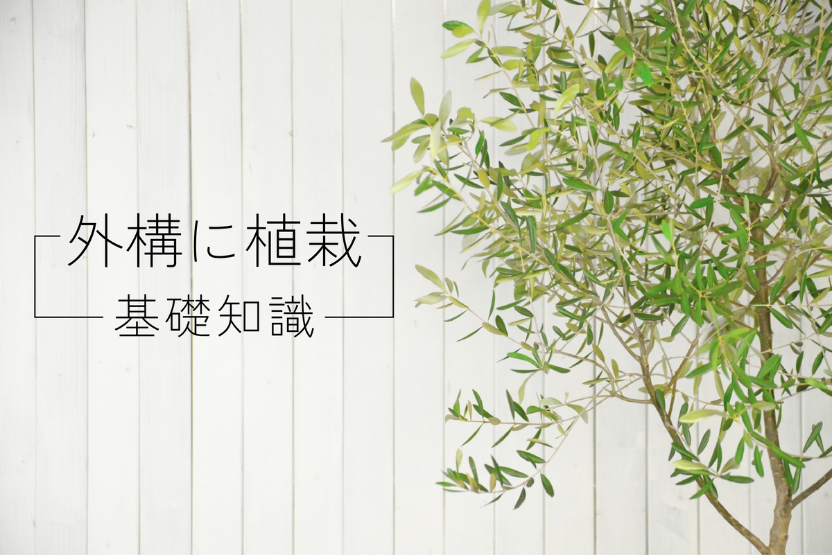 外構に植栽 -基礎知識- 画像
